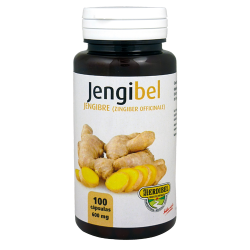 JengiBel