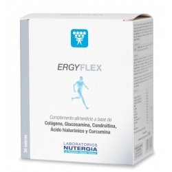 ERGYFLEX 600